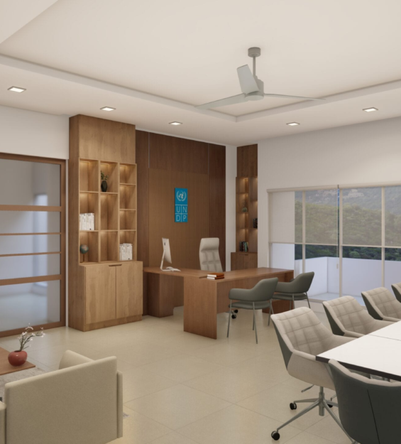 UNDP RENDER 01